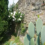 La Vistosa Ciciana
