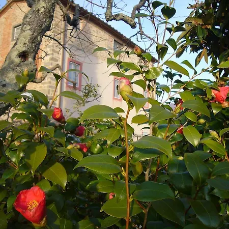 Apartment La Vistosa Ciciana