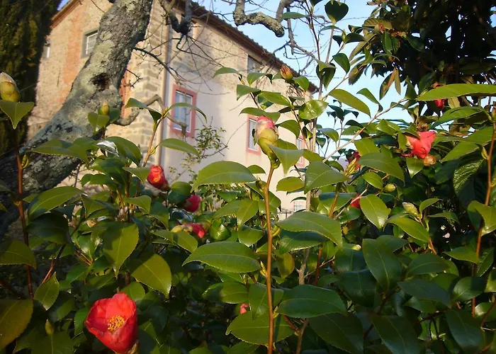 Apartament La Vistosa Ciciana